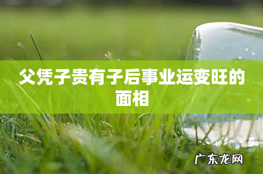 父凭子贵有子后事业运变旺的面相