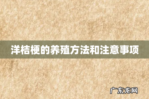 洋桔梗的养殖方法和注意事项