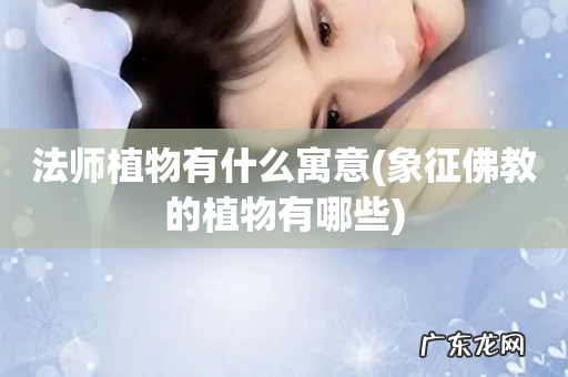 象征佛教的植物有哪些 法师植物有什么寓意