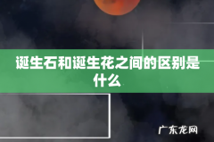 诞生石和诞生花之间的区别是什么