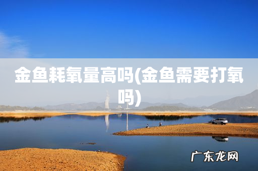 金鱼需要打氧吗 金鱼耗氧量高吗