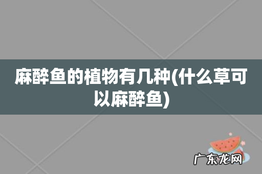 什么草可以麻醉鱼 麻醉鱼的植物有几种