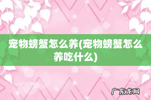 宠物螃蟹怎么养吃什么 宠物螃蟹怎么养