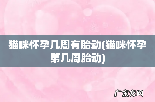 猫咪怀孕第几周胎动 猫咪怀孕几周有胎动