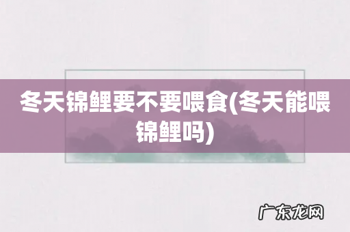 冬天能喂锦鲤吗 冬天锦鲤要不要喂食