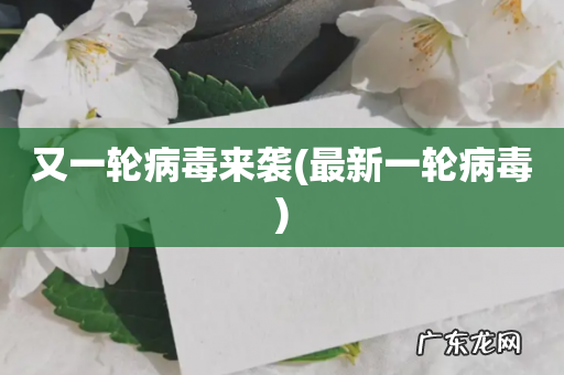 最新一轮病毒 又一轮病毒来袭