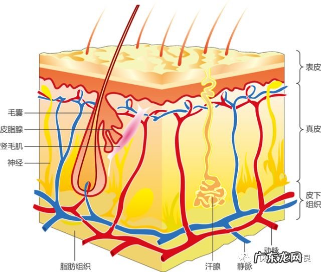 宝宝烫伤用什么方法好 宝宝烫伤了怎么办