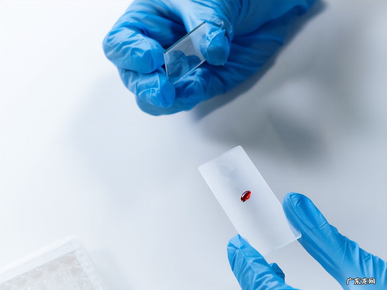 怀孕做亲子鉴定多少钱一次 dna亲子鉴定价格图