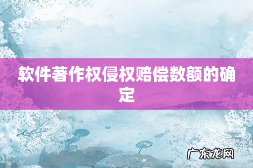 软件著作权侵权赔偿数额的确定