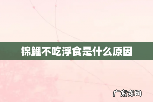 锦鲤不吃浮食是什么原因