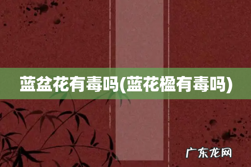 蓝花楹有毒吗 蓝盆花有毒吗