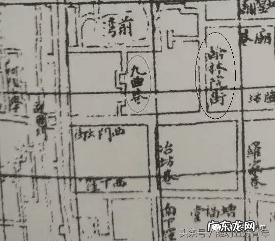 房屋东边有棵梧桐树好吗 房子西北角有梧桐树