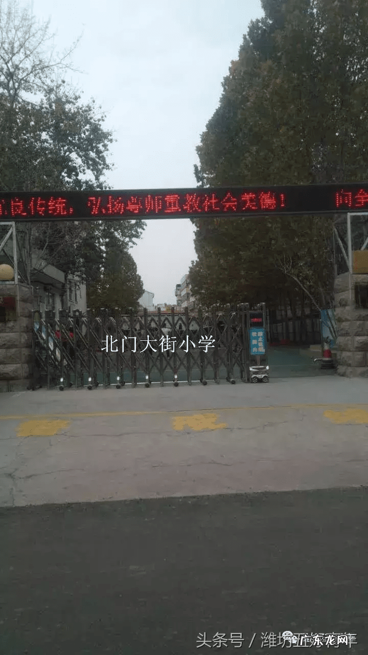 房屋东边有棵梧桐树好吗 房子西北角有梧桐树