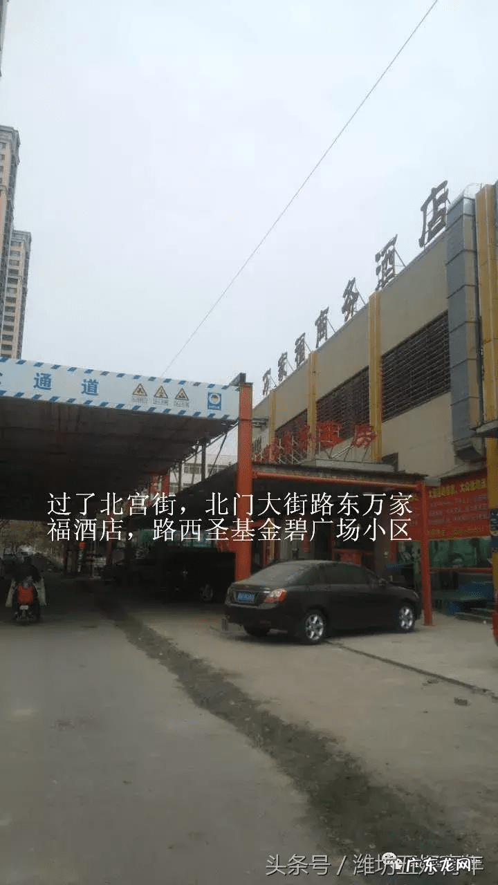 房屋东边有棵梧桐树好吗 房子西北角有梧桐树