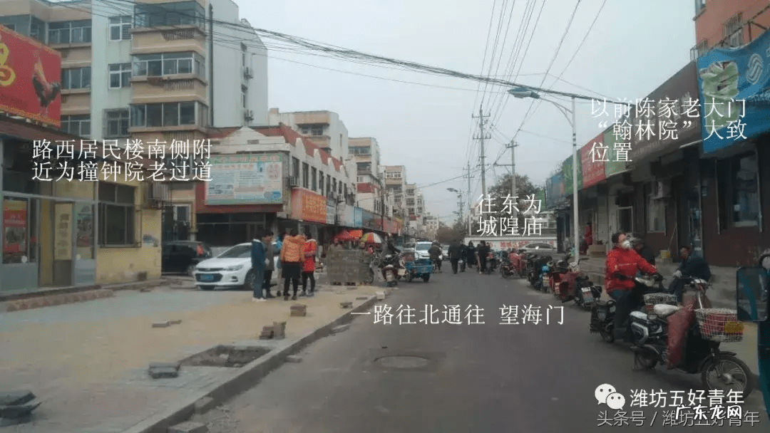 房屋东边有棵梧桐树好吗 房子西北角有梧桐树