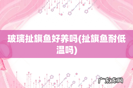扯旗鱼耐低温吗 玻璃扯旗鱼好养吗