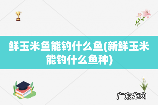 新鲜玉米能钓什么鱼种 鲜玉米鱼能钓什么鱼