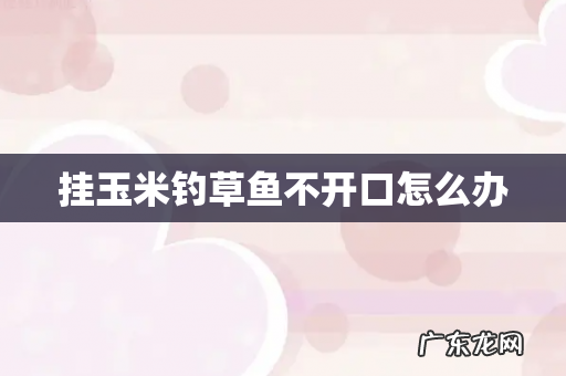 挂玉米钓草鱼不开口怎么办