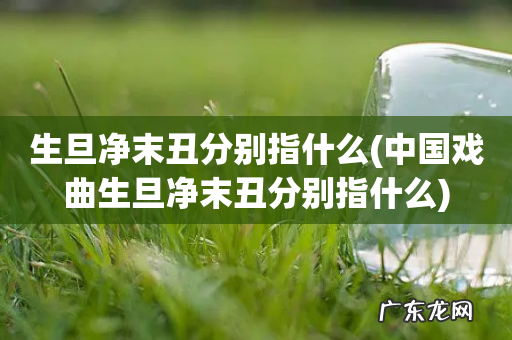 中国戏曲生旦净末丑分别指什么 生旦净末丑分别指什么