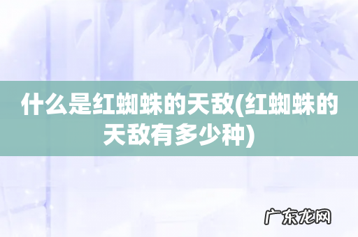 红蜘蛛的天敌有多少种 什么是红蜘蛛的天敌