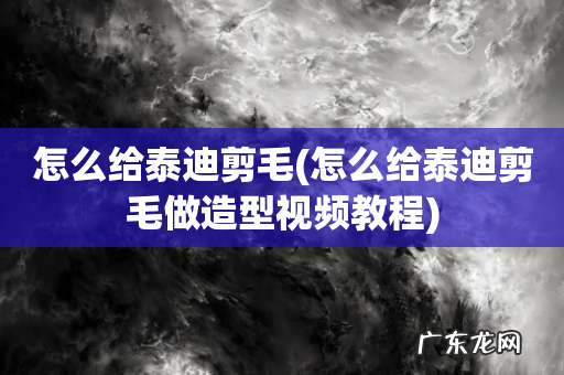 怎么给泰迪剪毛做造型视频教程 怎么给泰迪剪毛