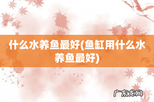 鱼缸用什么水养鱼最好 什么水养鱼最好