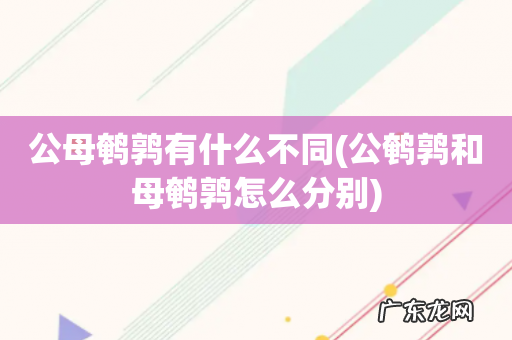 公鹌鹑和母鹌鹑怎么分别 公母鹌鹑有什么不同