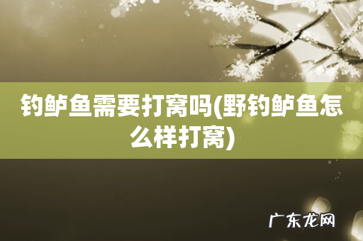 野钓鲈鱼怎么样打窝 钓鲈鱼需要打窝吗