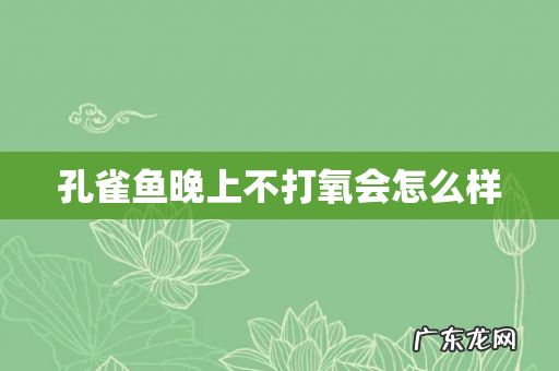 孔雀鱼晚上不打氧会怎么样
