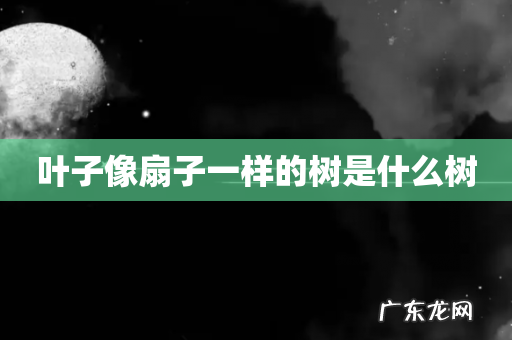 叶子像扇子一样的树是什么树