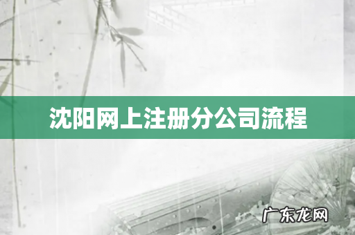 沈阳网上注册分公司流程