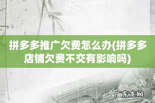 拼多多店铺欠费不交有影响吗 拼多多推广欠费怎么办