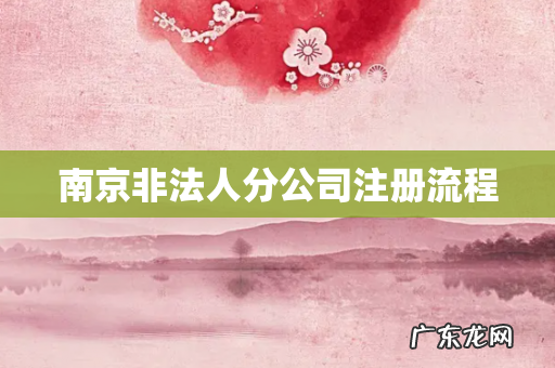 南京非法人分公司注册流程