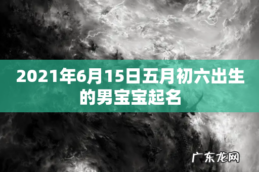 2021年6月15日五月初六出生的男宝宝起名