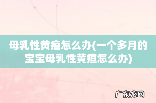 一个多月的宝宝母乳性黄疸怎么办 母乳性黄疸怎么办