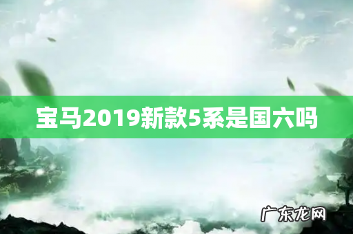 宝马2019新款5系是国六吗