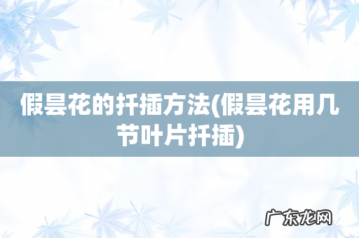 假昙花用几节叶片扦插 假昙花的扦插方法
