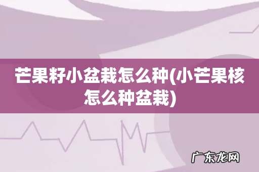 小芒果核怎么种盆栽 芒果籽小盆栽怎么种