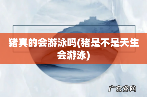 猪是不是天生会游泳 猪真的会游泳吗