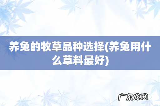 养兔用什么草料最好 养兔的牧草品种选择