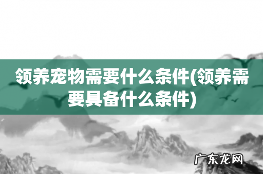 领养需要具备什么条件 领养宠物需要什么条件