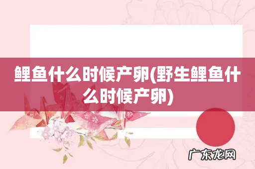 野生鲤鱼什么时候产卵 鲤鱼什么时候产卵