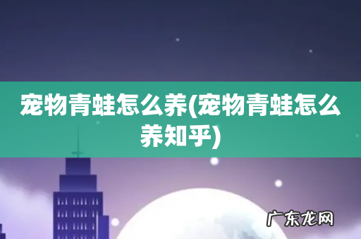 宠物青蛙怎么养知乎 宠物青蛙怎么养