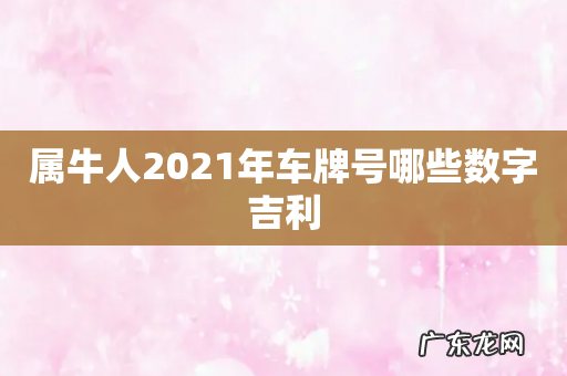 属牛人2021年车牌号哪些数字吉利