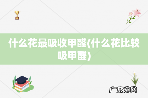 什么花比较吸甲醛 什么花最吸收甲醛