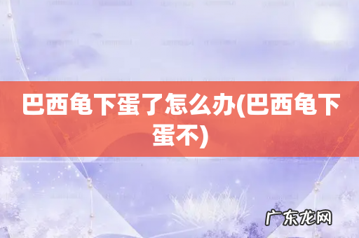 巴西龟下蛋不 巴西龟下蛋了怎么办