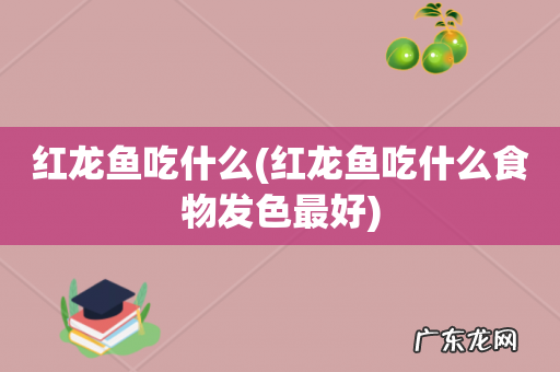 红龙鱼吃什么食物发色最好 红龙鱼吃什么