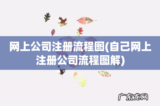 自己网上注册公司流程图解 网上公司注册流程图