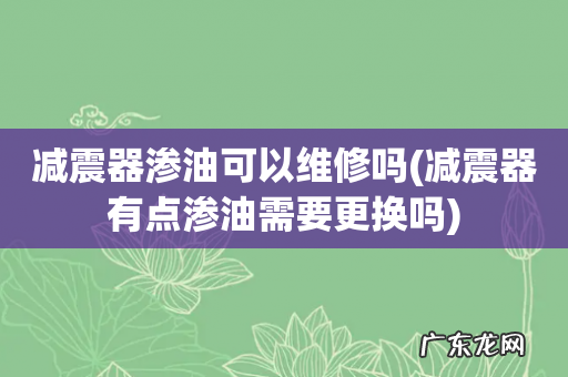 减震器有点渗油需要更换吗 减震器渗油可以维修吗