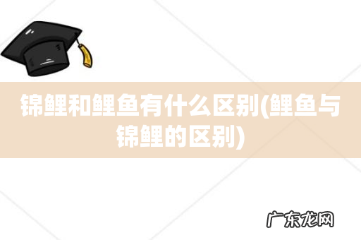 鲤鱼与锦鲤的区别 锦鲤和鲤鱼有什么区别